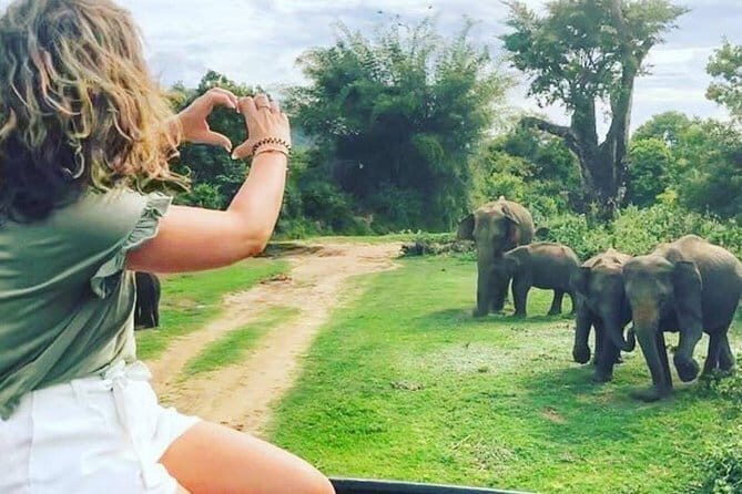 03 Days Highlights Of Sigiriya, Kandy, Nuwara Eliya , Ella & Udawalawe - Price and value: what you’re paying for, and what to budget on top