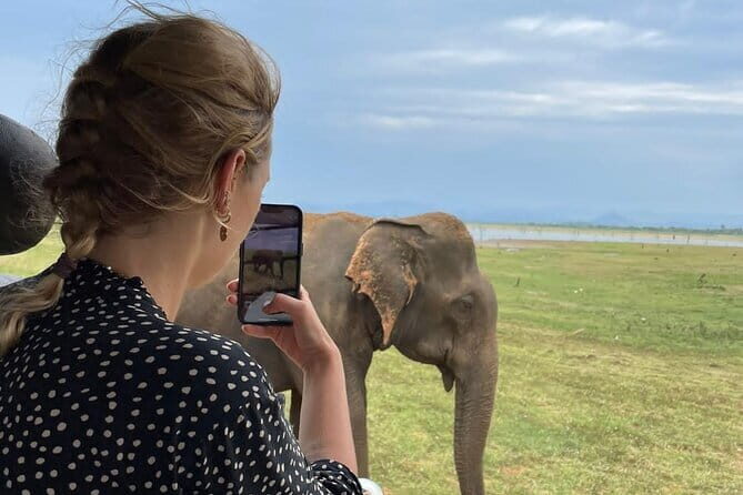 04 Hours Safari Jeep Tours - Quick hits before you go