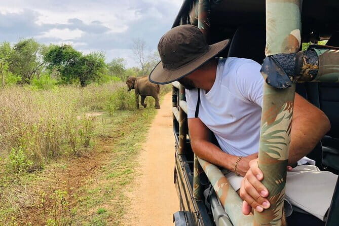 04 Hours Safari Jeep Tours - Elephant sightings: from a herd moment to the close-up payoff