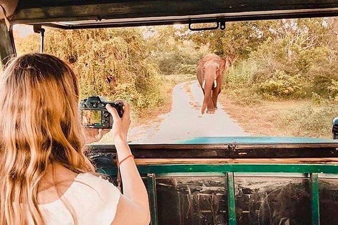 08 - Day Classic Tour with English speaking drive and Private luxury vehicles - Sigiriya and Polonnaruwa: ancient ruins plus wild elephant viewing