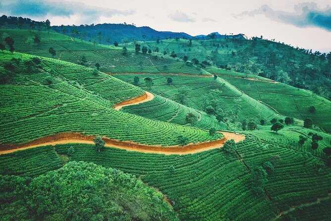 08 Days private round trip in Sri Lanka - Airport meet-and-greet and your private ride from Negombo