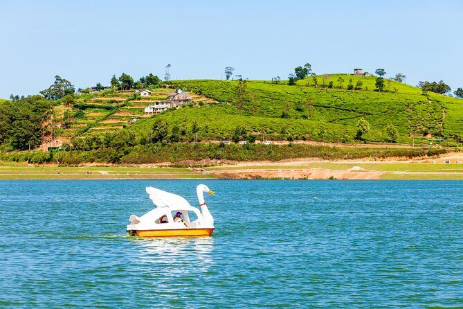 09 Days in Sri lanka - Major Attractions - Kandy after dark: Tooth relic day plus a cultural show