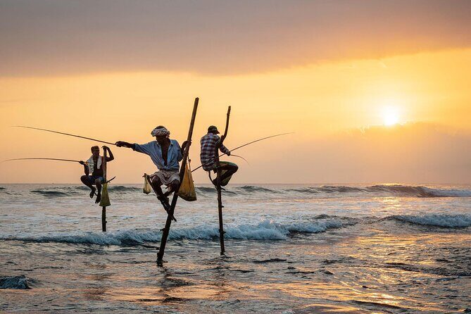 1 Day Private Tour Itinerary for Bentota, Hikkaduwa and Galle - Turtle Hatchery in Hikkaduwa: touch, photos, and a real wow factor