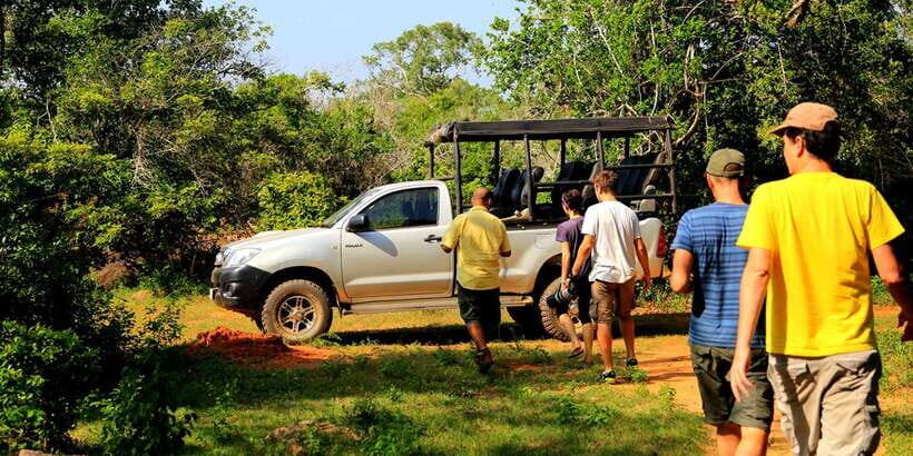 1-Day Tour of Both Yala and Udawalawe National Parks - What You’ll Do After Yala: Picnic Lunch and the Midday Reset