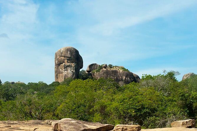 1 Day tour to Yala National Park or Udawalawe National Park - Comfort Bits That Matter on a Long Day