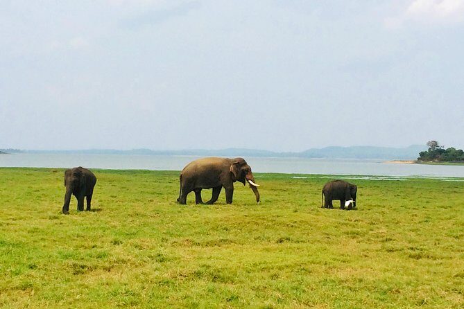 10 Day Explore Sri Lanka - Day 7: Little Adam’s Peak views, Ravana Ella Falls, and Buduruwagala
