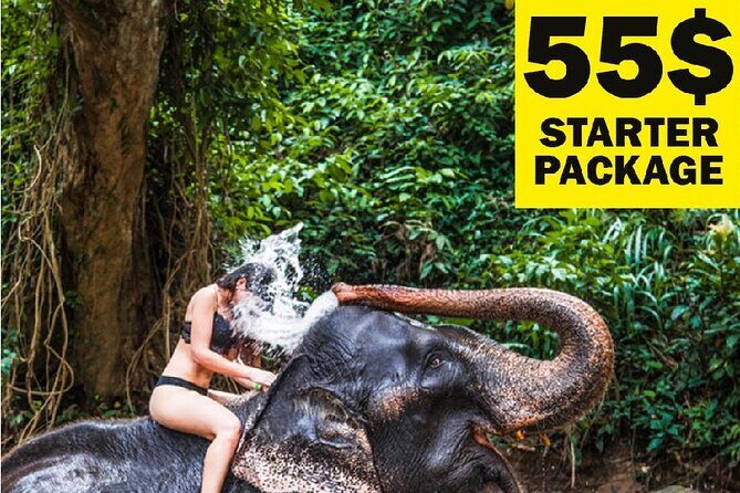 10-Day Sri Lanka Escape – Culture, Wildlife & 3 stars Hotels - Key reasons this tour works