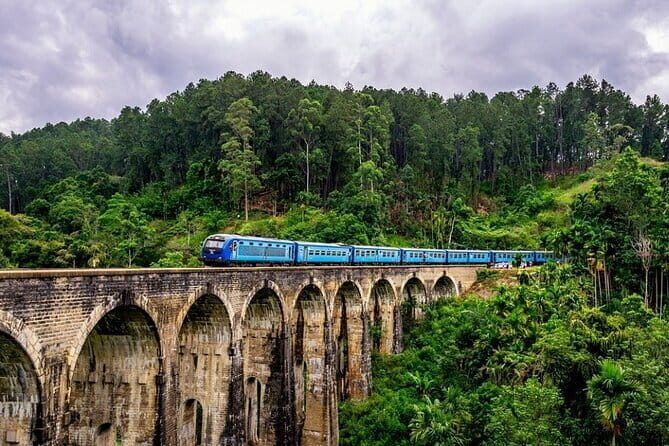 10 Days/ 9 Nights - Heritage Wildlife and Waves in Sri Lanka - Minneriya safari: your best chance to see elephants