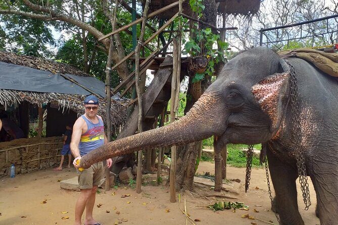 12 Days Sri Lanka Island Adventure and Wild Tour - Day 6: Horton Plains in the Misty Hills