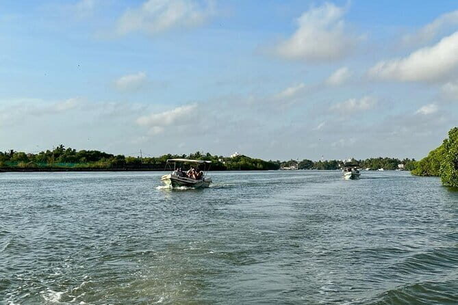 12 Days Tour Grand Discovery of Sri Lanka - The Nanu Oya train ride to Ella: scenery you can’t buy