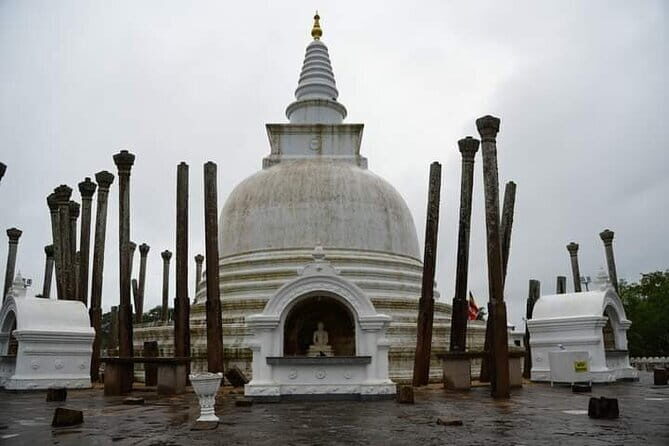 14 Days/ 13 Nights -Sri Lanka Tour on Culture, Wildlife & Beaches - Botanical gardens, tea country, and a waterfall in the hills