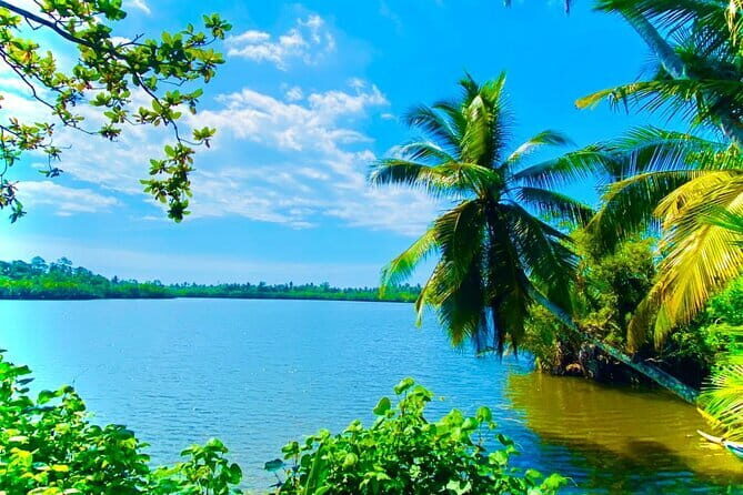 14 Days/ 13 Nights -Sri Lanka Tour on Culture, Wildlife & Beaches - Sigiriya and Polonnaruwa: rock fortress awe plus medieval city scale