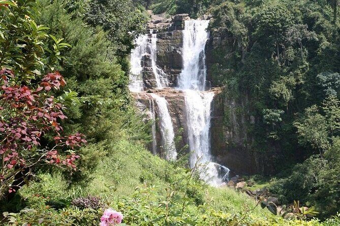 2 Day Tour of Yala & Ella with Hill Country Scenic Train Ride - All Inclusive - Day 2: the Hill Country train ride (60–70 minutes)