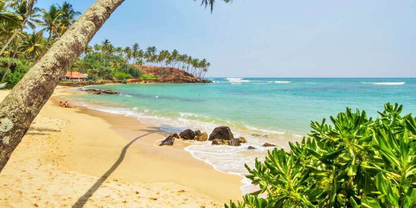 2-Day Whale Watching & Southern Sri Lanka Tour - Hikkaduwa marine sanctuary: corals and fish without the snorkel stress