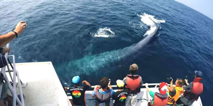 2-Day Whale Watching & Southern Sri Lanka Tour - Day 1: Bentota beach, Galle Fort walls, and Bentota River wildlife