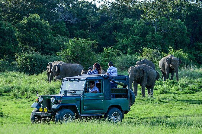 2 Days Tour of Double Safari (Yala & Udawalawe) - All Inclusive - Day 1: The Road to Yala and the Evening Safari Build-Up