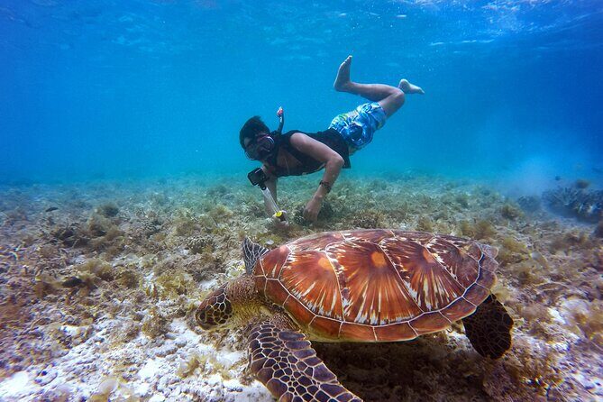 2 hours Private Snorkeling tour in Unawatuna - Key Highlights You Should Know Before You Go
