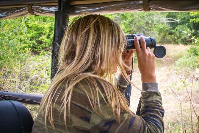 2 Nights All Inclusive Treehouse Safari in Yala with transfers - Who This Safari Suits Best (And Who Should Reconsider)