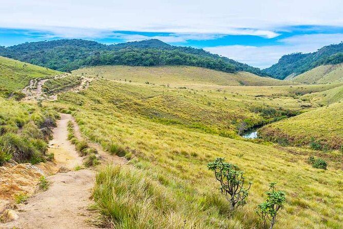 3 Days Nature and Chill Tour of Ella, Nuwara Eliya and Haputale - Should you book this nature-and-chill plan?