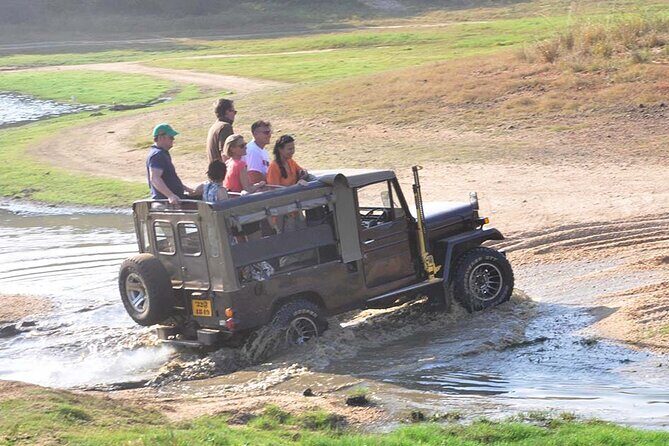 3 Days Private Tour of Yala Safari/ Ella/ Kandy - All Inclusive - Ramboda Falls stop before Kandy: a quick nature hit between longer days