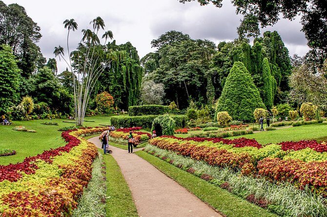 3 Days Tour to Kandy, Nuwara Eliya & Sigiriya - Should You Book This 3-Day Circuit to Kandy, Nuwara Eliya, and Sigiriya?