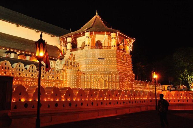 3 Days Tour to Kandy Nuwara Eliya & Sigiriya from Colombo - Colombo to Kandy, Nuwara Eliya and Sigiriya: why a private car changes everything