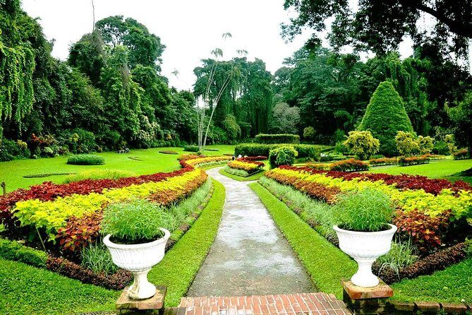 3 Days Tour to Kandy Nuwara Eliya & Sigiriya from Colombo - Temple etiquette and clothing rules that matter on this route