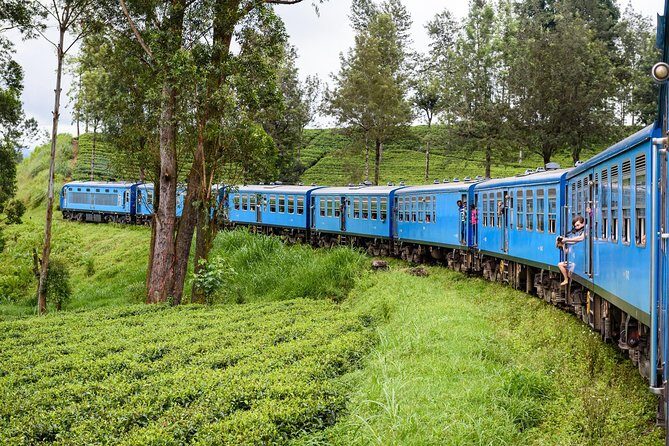 4 Days Tour to Kandy, Sigiriya & Nuwara Eliya - How this 4-day Kandy–Sigiriya–Nuwara Eliya route makes sense from Colombo