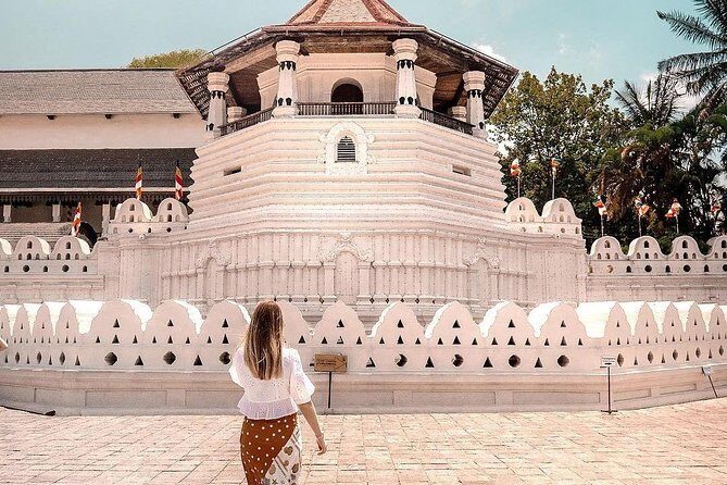 4 Days Tour to Kandy, Sigiriya & Nuwara Eliya - Day 2: Dambulla caves, Sigiriya Lion Rock, and Minneriya elephants