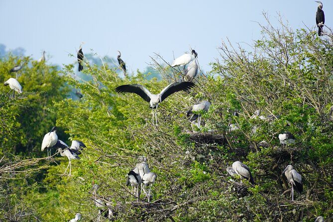 4 Hours Private Yala Safari Day Tour - Yala National Park in a single safari window from Bentota