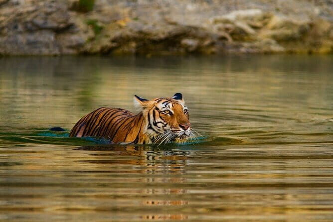 5 Day Sri Lanka Tour : Including Temple of Tooth & Sigiriya Trip - Bentota by sea and mangroves: Day 4’s best-water day