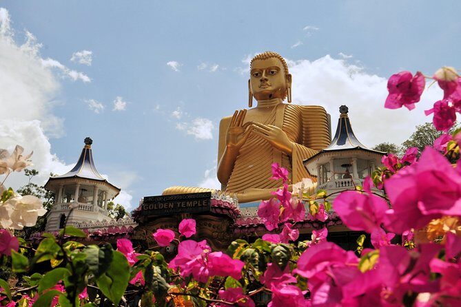6-Day Sri Lanka Heritage Private Tour - What’s included (and what you should budget extra) for $420
