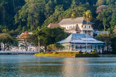 6 Days Private Vehicle with English Speaking Chauffeur - Starting in Colombo or Negombo: Build Your Loop Without Losing a Day