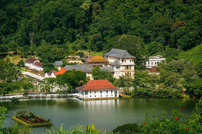 6 Days Private Vehicle with English Speaking Chauffeur - Day 1 in Kandy: Temple of the Tooth, Gardens, and Lake Views