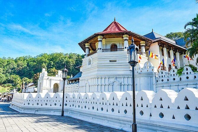 6 Days Tour of Sri Lanka - Key highlights you’ll feel right away