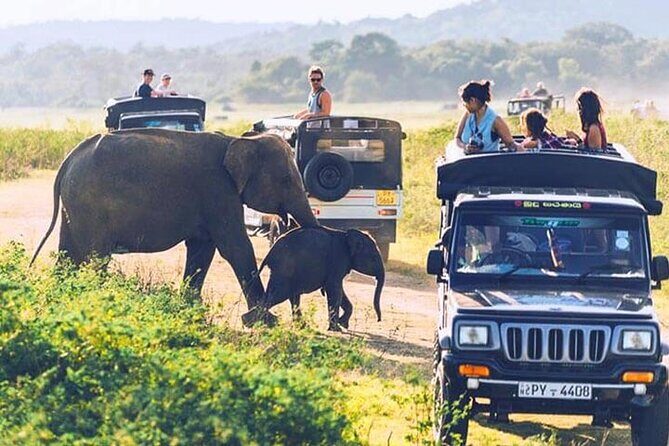 6 Days Tour of Sri Lanka - How a 6-day loop makes Sri Lanka easier to plan