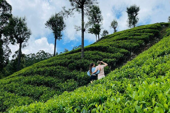 6Days Hill country Private Tour in Sri Lanka - Bentota After the Hills: Dutch Gate Hotel and a Real Recovery Day