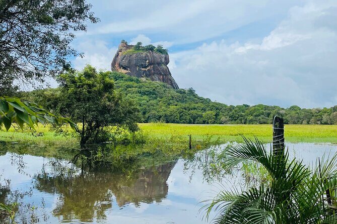 7 Days Sri Lanka Safari Tour - Price and value: what $380 really buys