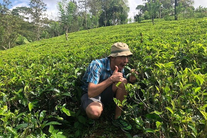 7 Days Sri Lanka Tour Chauffeur Wildlife and Heritage Adventure - Day 5: Little Adam’s Peak viewpoints, Nine Arches Bridge, and Yala wildlife time