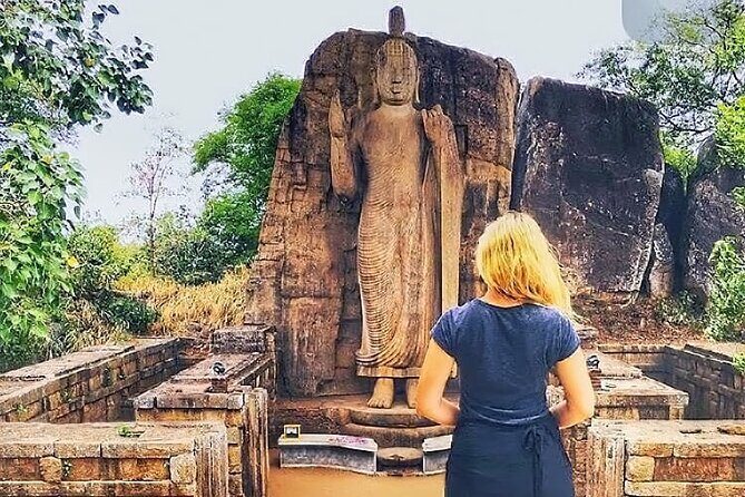 7 Days Sri Lanka Tour package with Private Driver - Value for $870: what’s included vs what you’ll pay anyway
