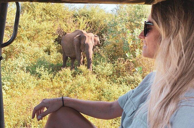 7 Days Tour in Sri Lanka Hotels with Breakfast and Luxury Car - Day 4: Glenloch tea country, Ramboda waterfall, and Nine Arches Bridge