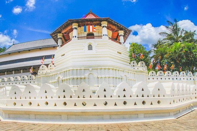7 Nights Private Tour Of Sri Lanka - Dambulla Caves and the Temple of the Sacred Tooth: UNESCO Two-Stop Power