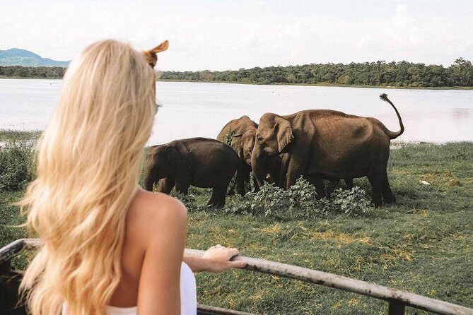 7 Nights Private Tour Of Sri Lanka - Kandy Evening Culture: Lake Views, Markets, and a Dance Show