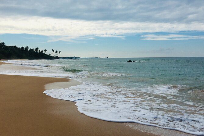 8 Day Private Sri Lanka Tour with Chauffeur - Day 3: Spice Garden learning at a Kamatha, Tooth Relic temple, and Kandy show