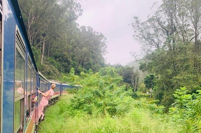 8 Day Private Sri Lanka Tour with Chauffeur - Day 4: Ramboda Falls and Damro Labookellie tea country
