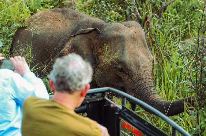 8 Day Private Sri Lanka Tour with Chauffeur - Day 6: Yala National Park jeep safari, Galle Dutch Fort, and Beruwala beach time