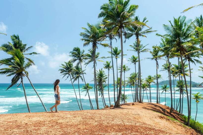 8-Day Sri Lanka Private Round Tour Hotels, Meals, Car, Guide - Key points worth knowing