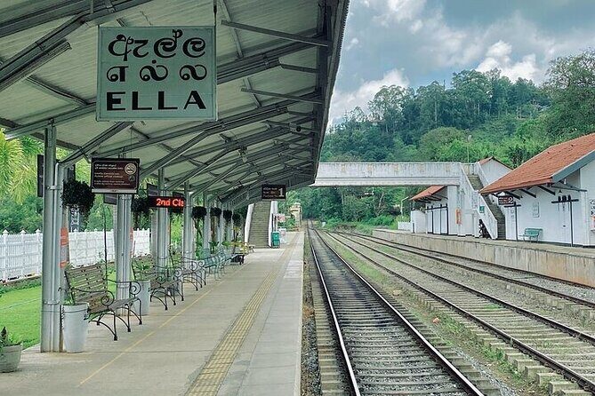 8 Days and 7 Nights Sri Lanka Tour - Day 3: Royal Botanical Gardens, tea processing in Nuwara Eliya, and a gem museum stop