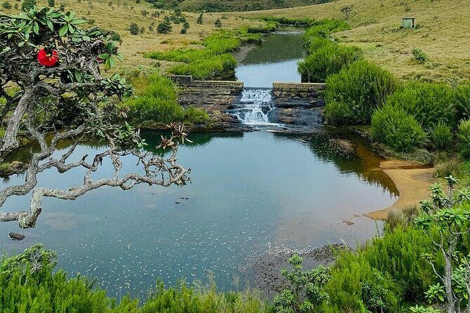 8 Days and 7 Nights Sri Lanka Tour - Day 5: Yala National Park safari time and a calm Tissa Lake pause