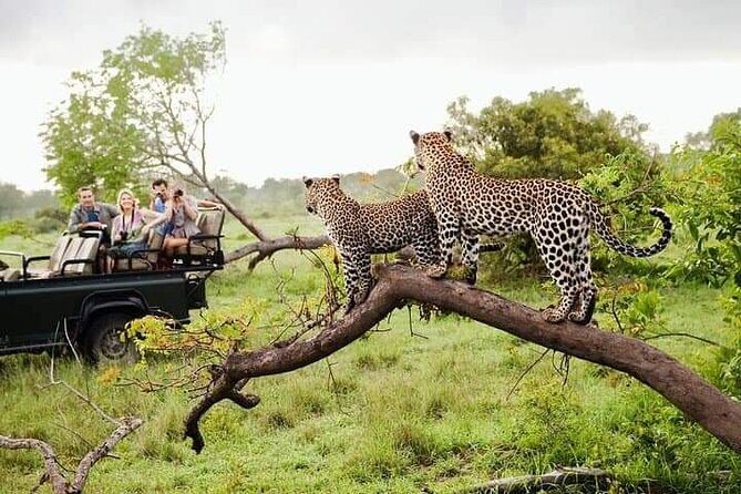 8 Days Private Guided Tour in Sri Lanka with accommodation (BB) - Yala National Park safari day: wildlife country with a reality check
